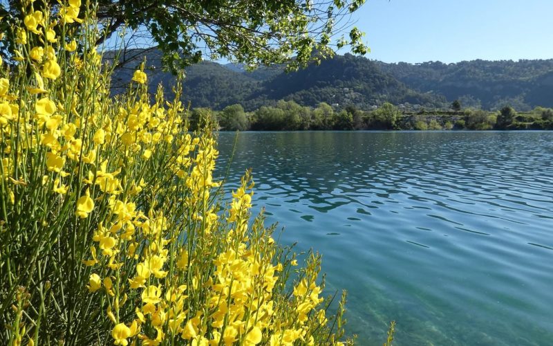 Le lac du Broc